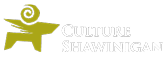 Culture Shawinigan